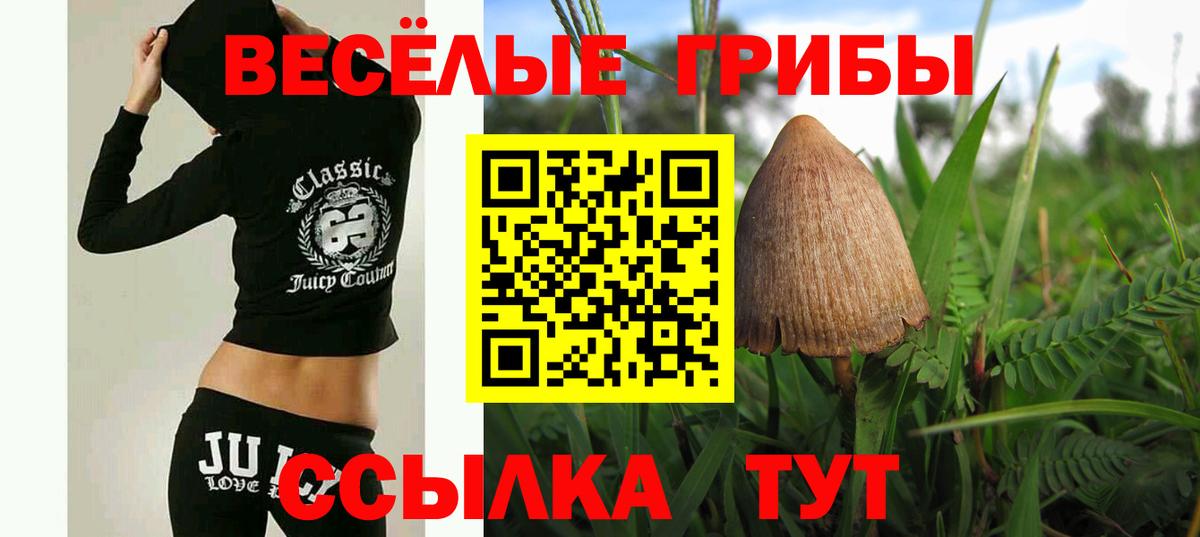 Псилоцибиновые грибы Psilocybe  Вход с VPN  Псилоцибиновые грибы Psilocybine cubensis  Феодосия 