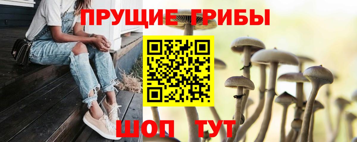 Псилоцибиновые грибы мухоморы Феодосия